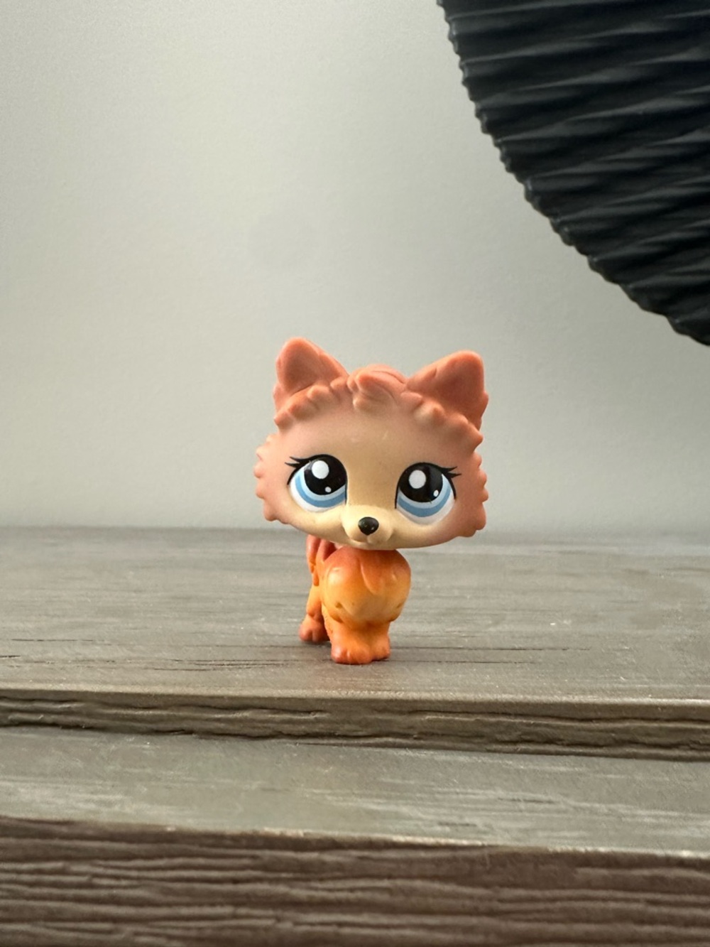 Authentic LPS Pomeranian #1599